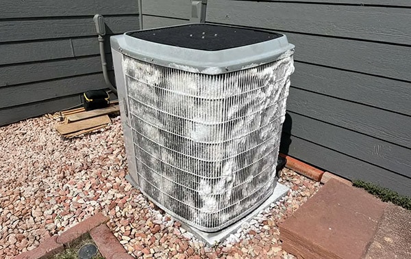 Cottonwood in Air Conditioner Coil